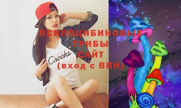 a pvp Новокубанск